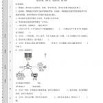 二年级数学下册《期中素养测评（提高卷）•苏教版》带答案